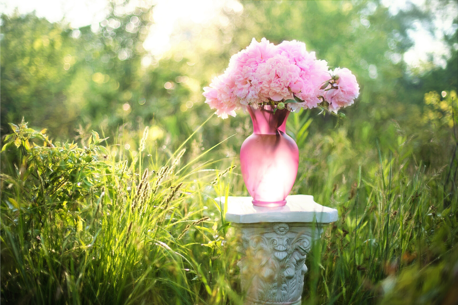 I FIORI DI GIUGNO