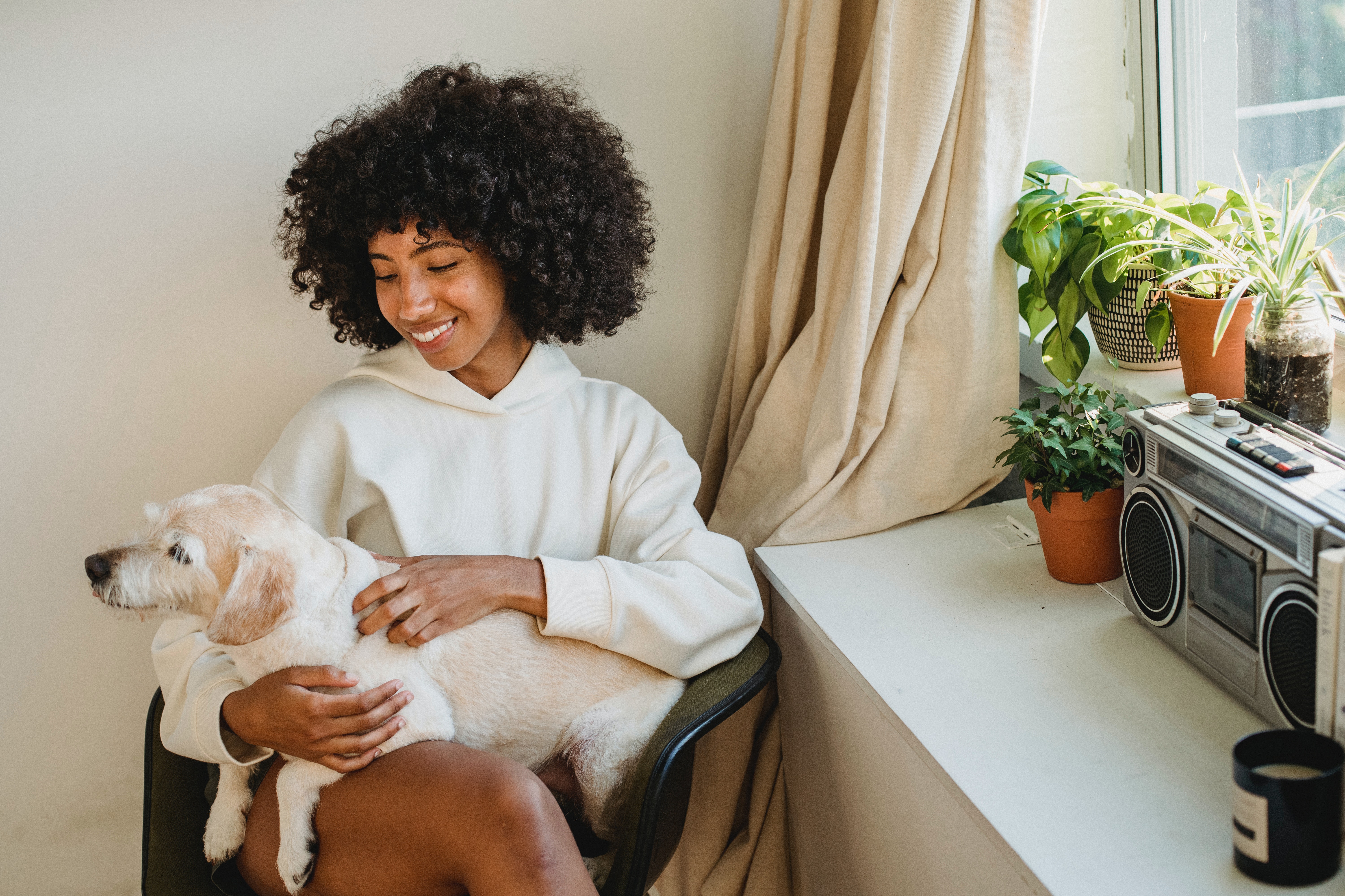 PLANTAS PET-FRIENDLY MEJOR TAMBIÉN COMO REGALO