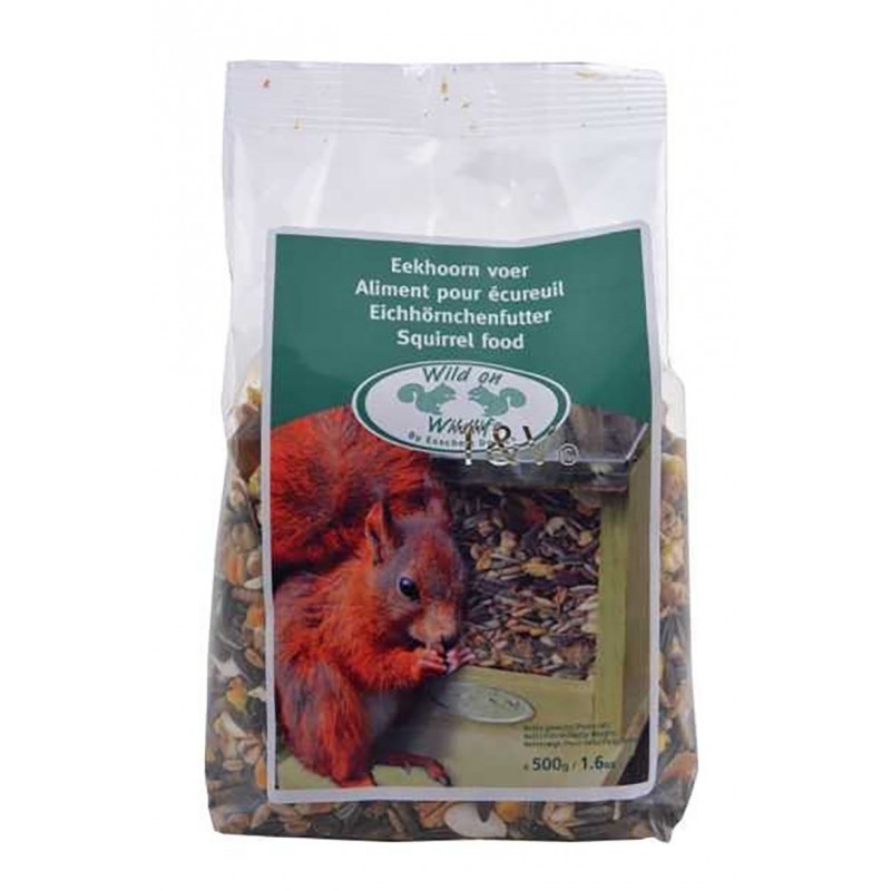Squirrel foods Squirrel foods