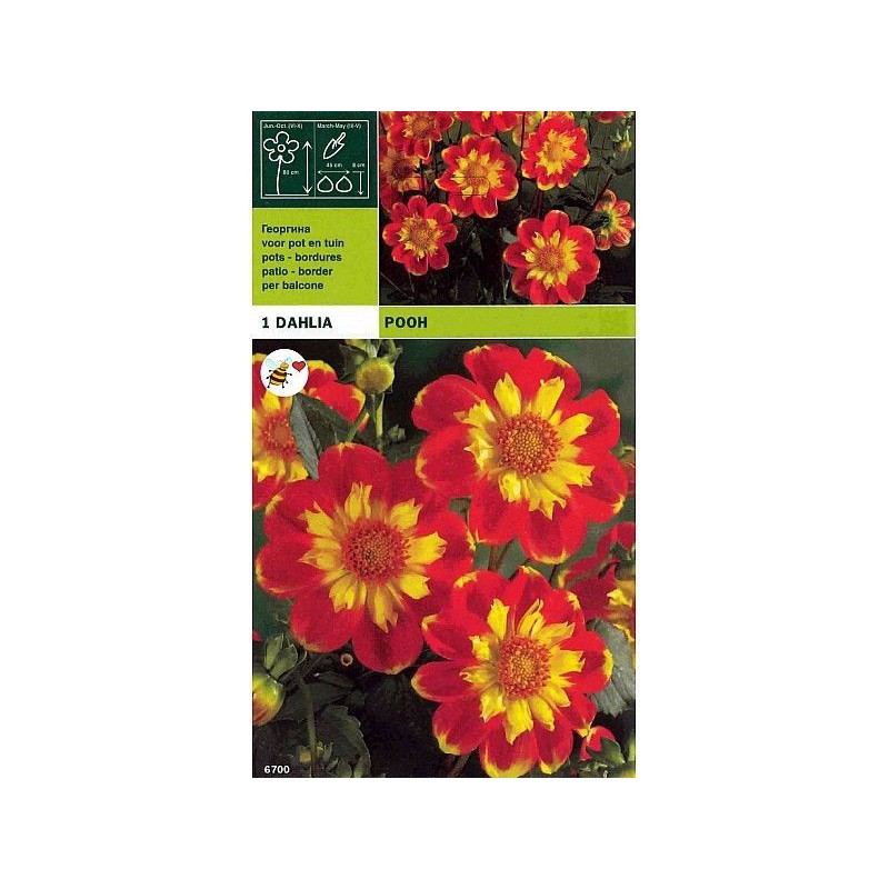 Dahlia collar pooh