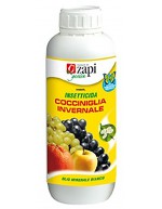 Mibiol insecticide winter cocciniglia