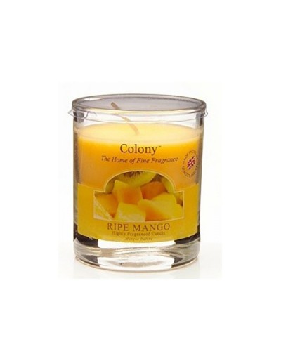 Mango candle