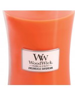 Woodwick candela maxi dreamsicle daydream