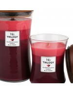 Woodwick candle trilogy maxi summer fruit