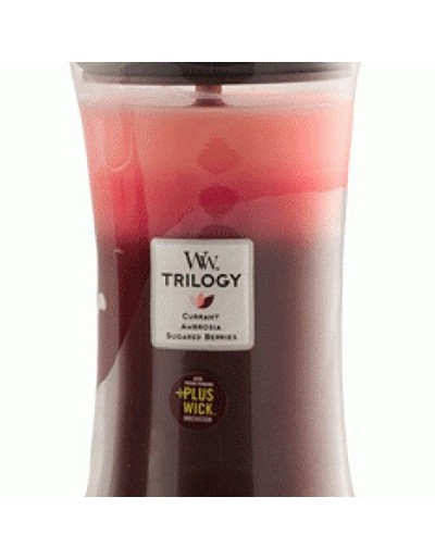 Woodwick candle trilogy maxi fruit tent