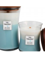 Woodwick candela trilogy media fresh &amp; clean