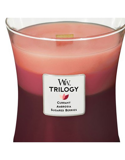 Woodwick trilogía de velas media tentación de la fruta