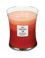 Woodwick candela trilogy media spezie esotiche