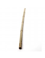 Canna di bambù 3 m