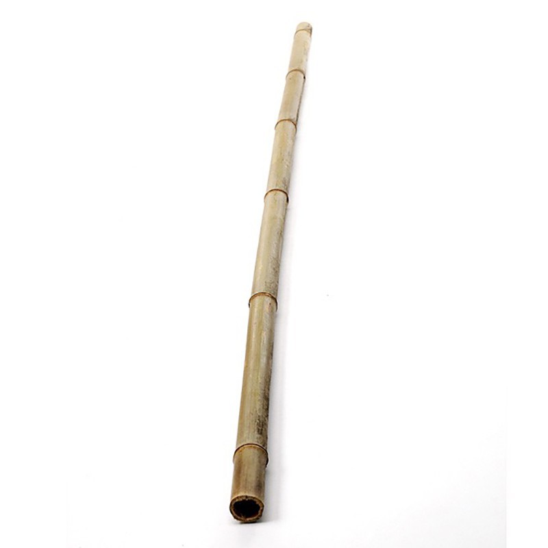 Bamboo cane 3 m Bamboo cane 3 m