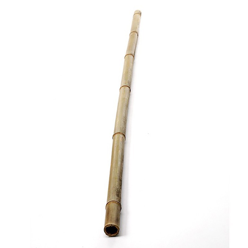 Canna di bambù 3 m