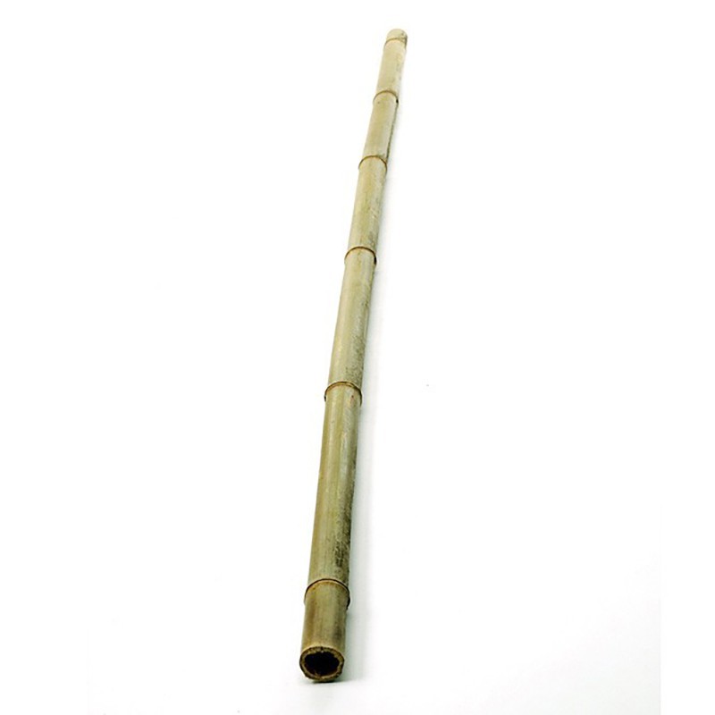 Bamboo cane 2 m