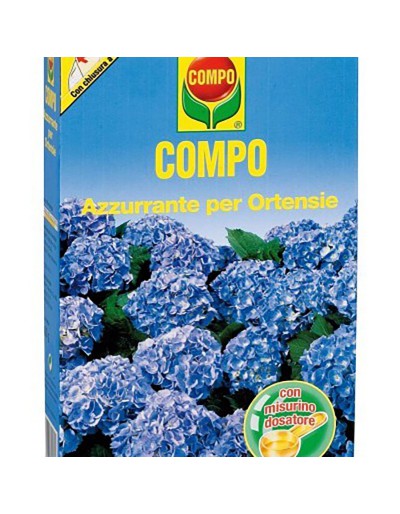 Compo azul para hortensias