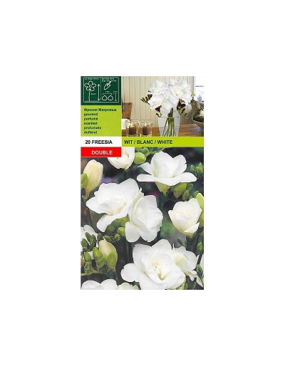 Freesia double white 20 bulbs