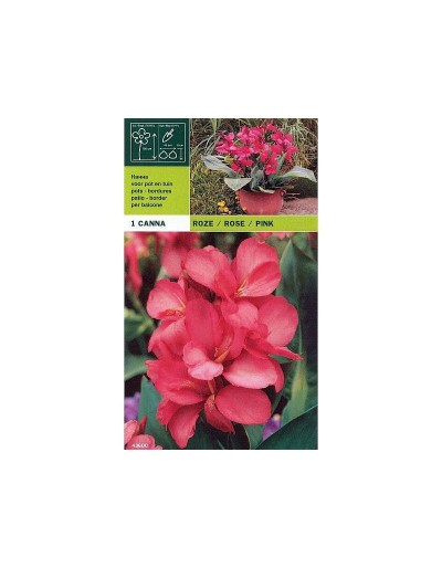 Cane pink 1 bulb