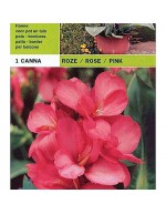 Cane pink 1 bulb