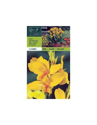 Yellow cane 1 bulb