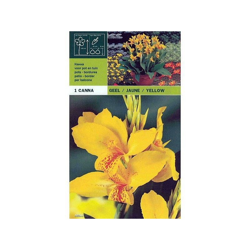 Yellow cane 1 bulb