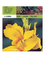 Yellow cane 1 bulb