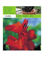 Red cane 1 bulb