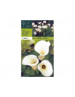 Calla white 1 bulb