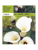 Calla white 1 bulb