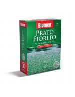 Bluemen lawn flowering daisies 200g