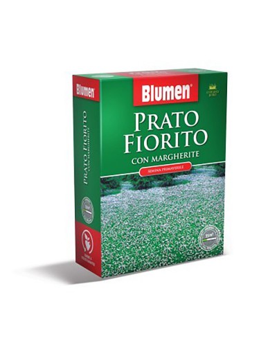 Margaridas de floração do gramado de Blumen 500 gr