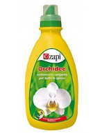 Liquid fertilizer orchid zapi
