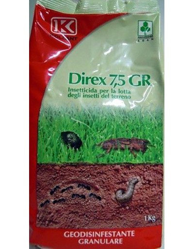 DIREX 7