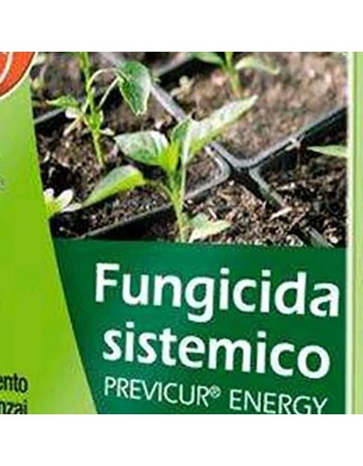 Bayer previcur energi systemisk fungicid