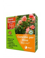 Bayer baycote concime granulare rose