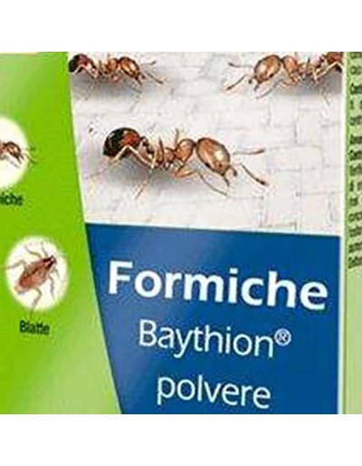 Baythion Insektizid Ameisen Pulver