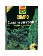 Guano coniferous