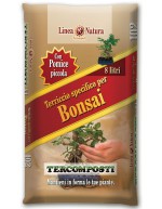 GLEBA DO BONSAI 8