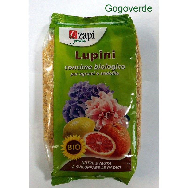 NUTRILIFE LUPINI BIO 1 kg se traduce como "NUTRILIFE LUPINI BIO 1 kg" en español. NUTRILIFE LUPINI BIO 1 kg se traduce como "NUTRILIFE LUPINI BIO 1 kg" en español.