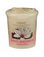 Magnólia branca de vela colônia