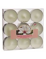 Boîte de colonie 9 magnolia blanc de tealight