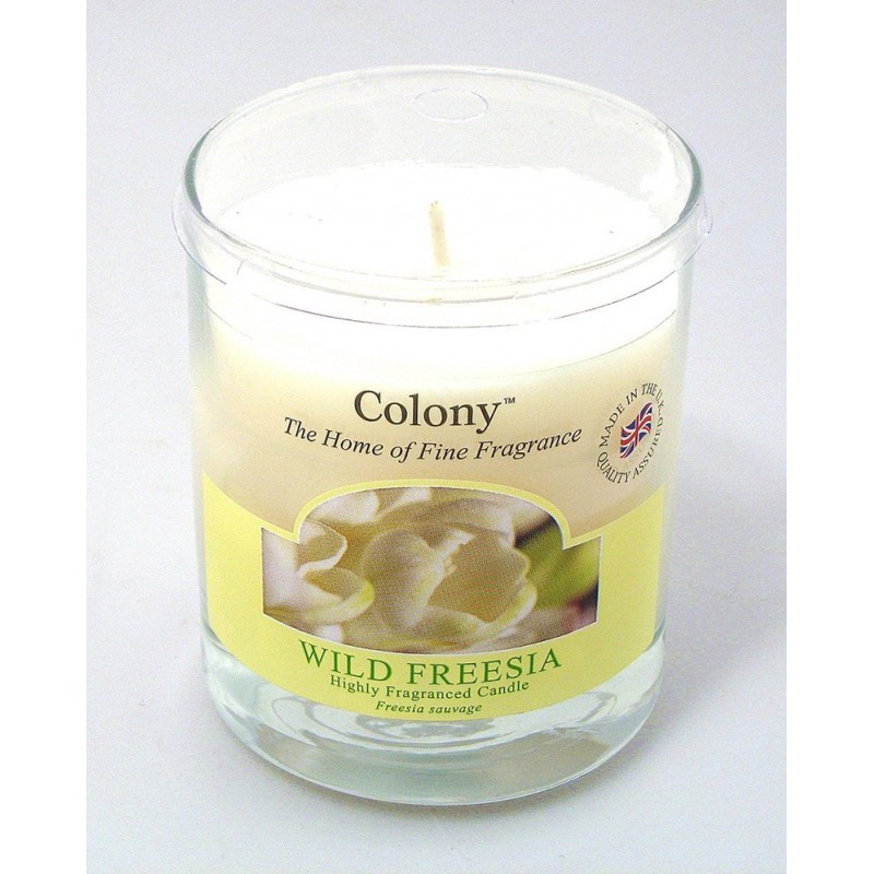 Colony candela wild freesia