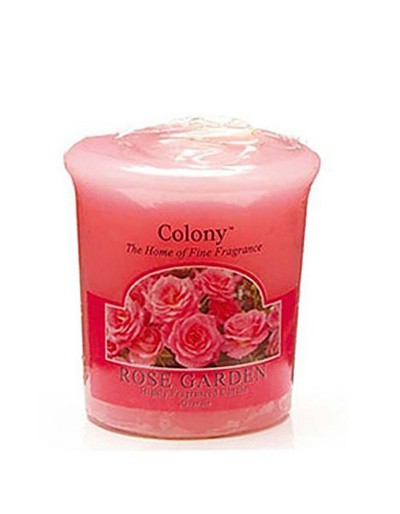 Colony candela garden rose
