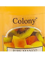 Kolonie Mango Kerze
