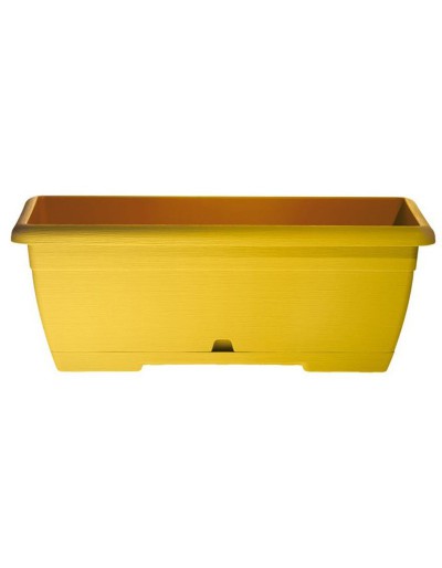 OASI MINI CASSETTE 25cm AMARELO com sub-cassete