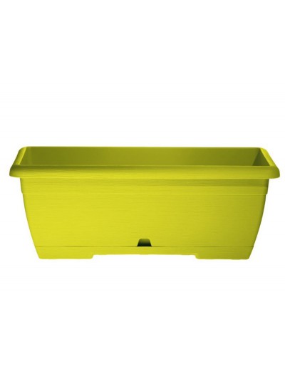 OASI MINI CASSETTA 25 cm LIME con sottocassetta