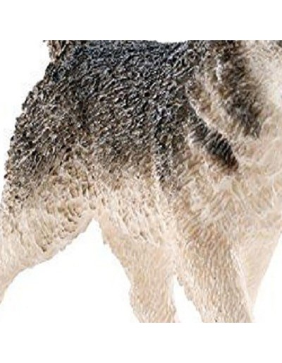 Figura Husky. Malowane ręcznie