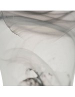 Pot en verre d’orchidée scheurich Night Twirl