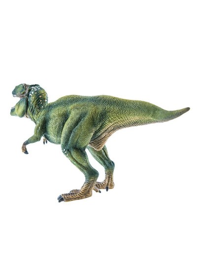 TYRANNOSAURE REX