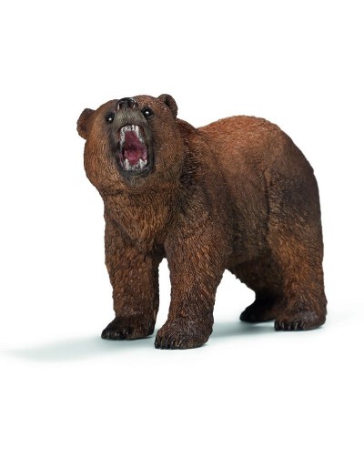 NIEDŹWIEDŹ GRIZZLY