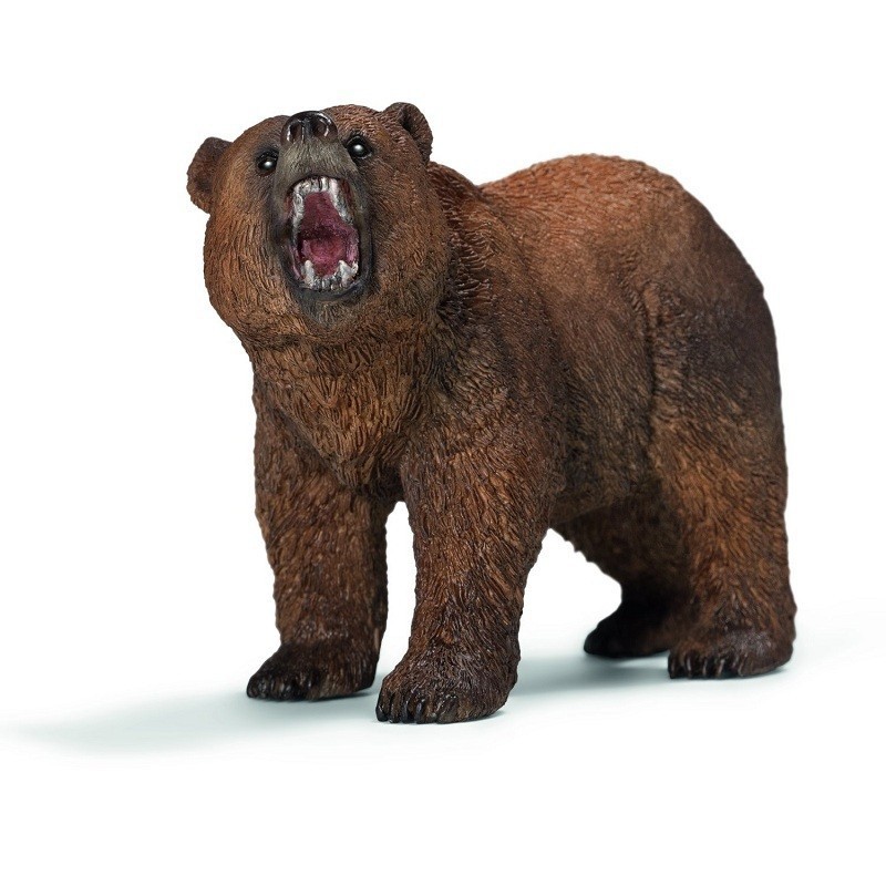 URSO PARDO URSO PARDO