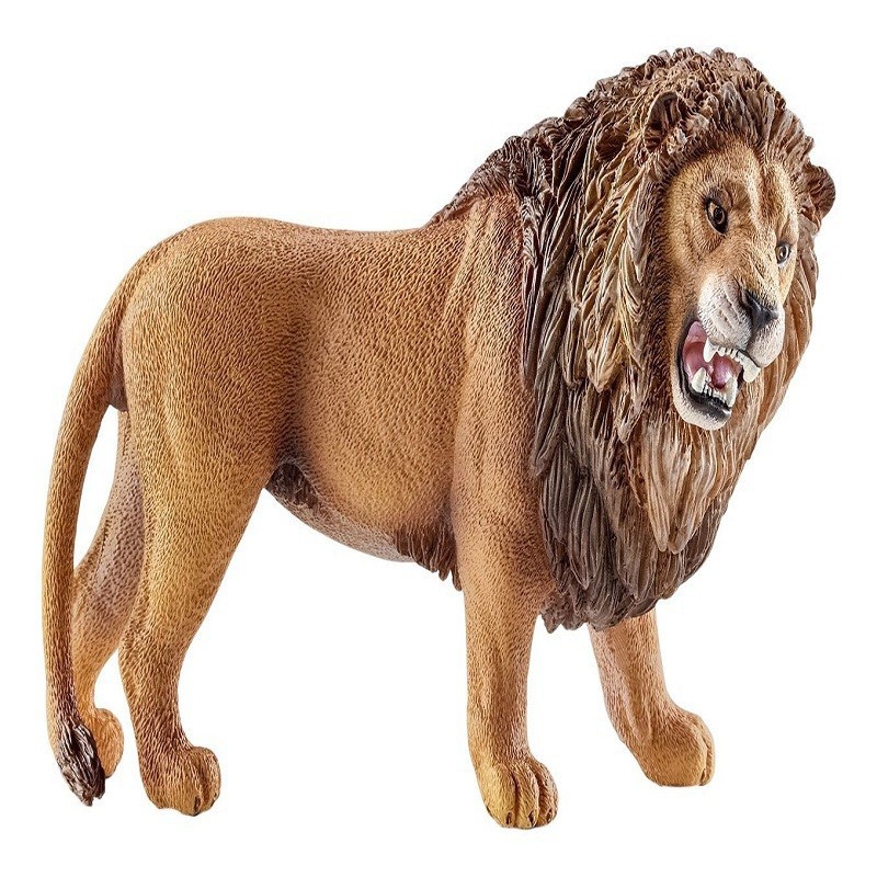 LEÓN ROARING LEÓN ROARING