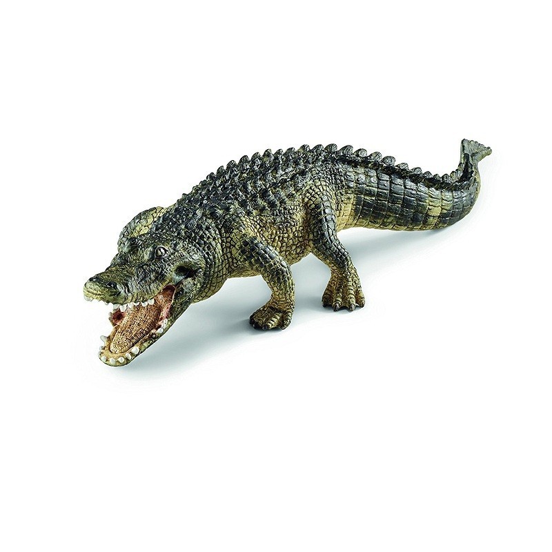 ALLIGATORE ALLIGATORE